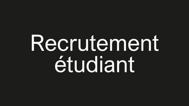 Illustration article Recrutement etudiant, Sébastien Kunz Studio